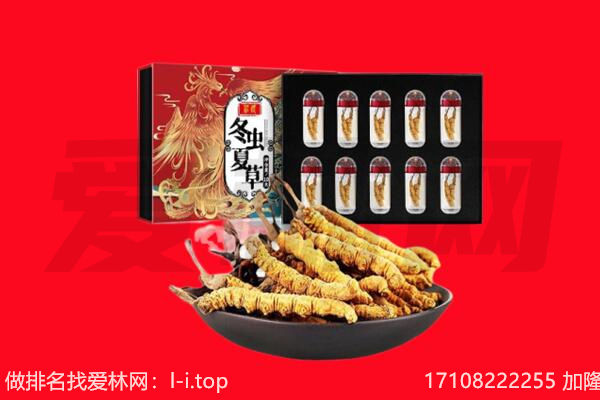 韶关南雄市回收虫草.jpg